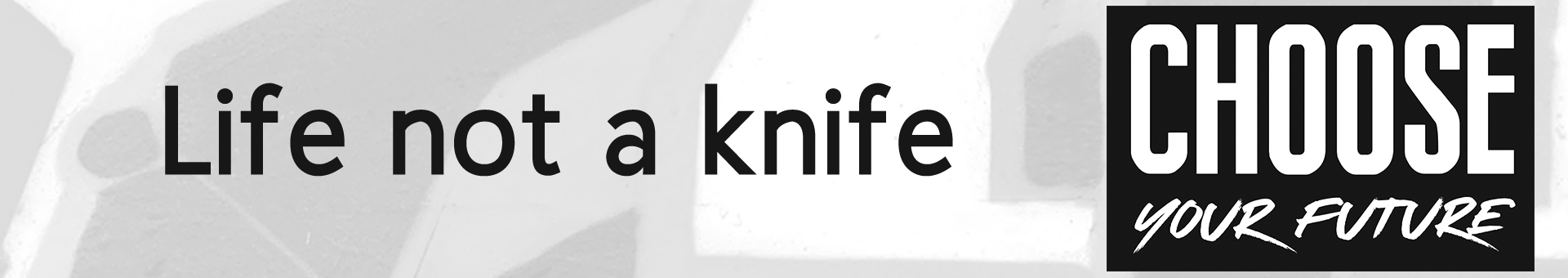 Life not a knife banner