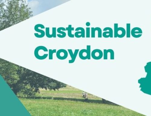 Council launches Sustainable Croydon fund to support green community initiatives