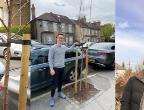 Croydon streets and parks to become healthier and greener with 500 new trees