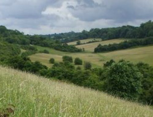 Croydon parks could join Surrey Hills Area of Outstanding Natural Beauty