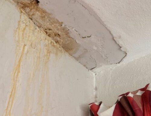 Croydon prepares for Awaab’s Law addressing damp and mould