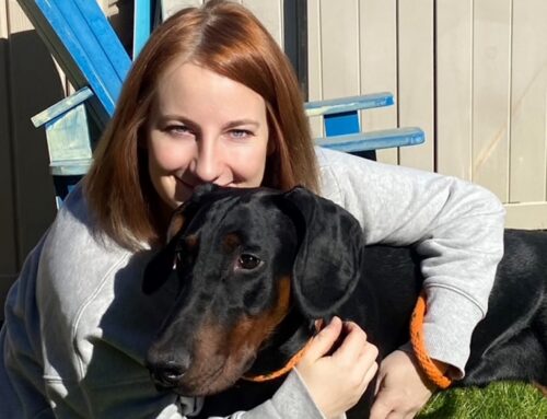 Croydon Council’s dog warden wins RSPCA award for seventh year