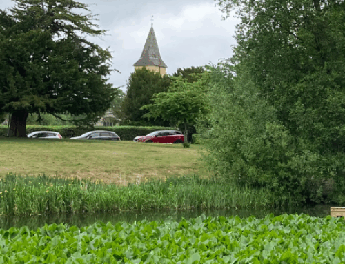 Review of conservation areas announced to preserve Croydon’s character