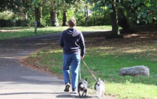 A dog walker in Wandle Park