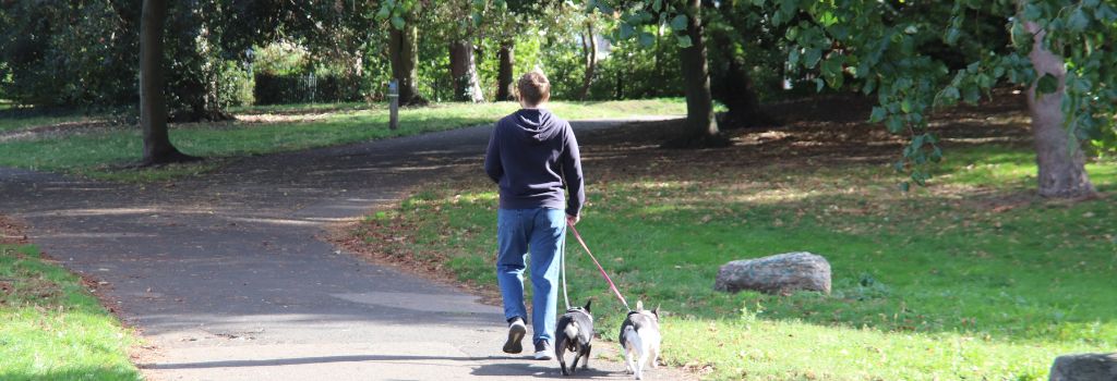 A dog walker in Wandle Park