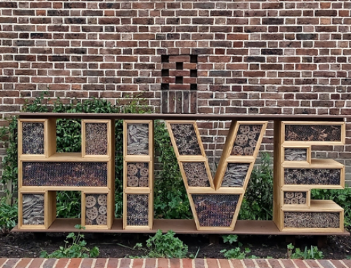 Mayor Perry – listening to Croydon  13 March 2026