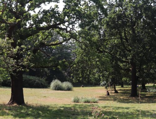 Grants totalling £25,000 given to Croydon’s parks groups