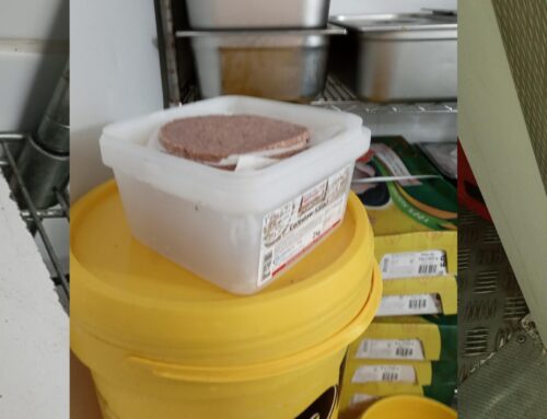 South Norwood chicken shop fined £25,000 over food safety failings
