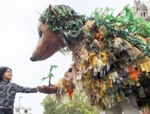 Croydon Harvest brings folk, farmyard and fun to the town centre