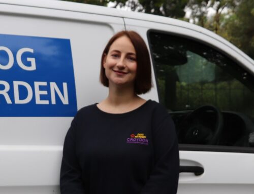 Council’s dog warden wins RSPCA award for eighth year for work with stray dogs